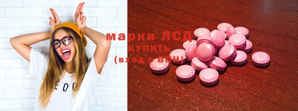 PSILOCYBIN Алзамай