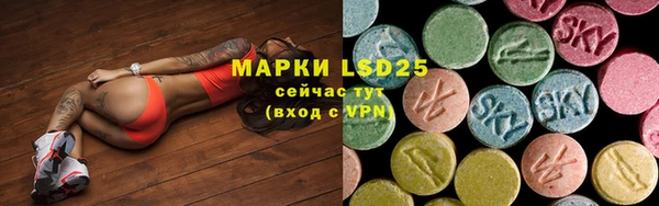 PSILOCYBIN Алзамай