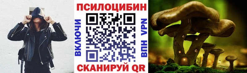 Псилоцибиновые грибы Psilocybine cubensis  блэк спрут ССЫЛКА  Островной 